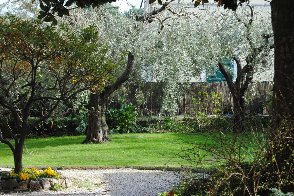 소레델라고푸치니 Casa Simonetti B&B 외부 사진